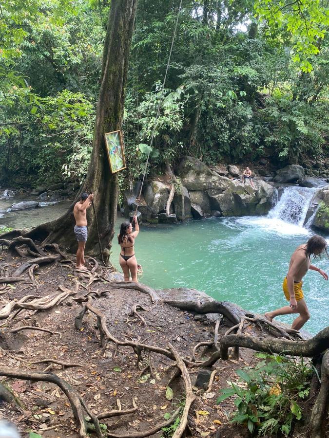 Coati Del Arenal Posada La Fortuna Ngoại thất bức ảnh
