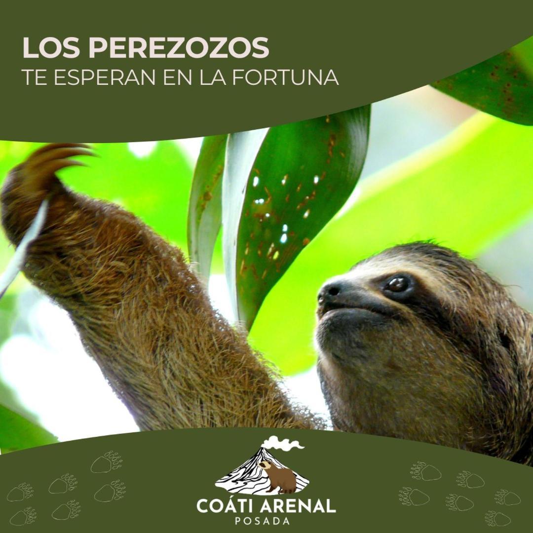 Coati Del Arenal Posada La Fortuna Ngoại thất bức ảnh