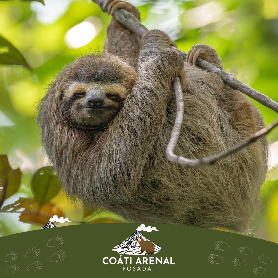 Coati Del Arenal Posada La Fortuna Ngoại thất bức ảnh